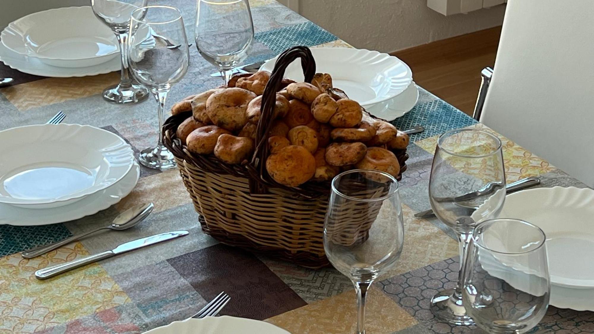 Apartament Acollidor Al Bergueda 6P Sant Jordi de Cercs Dış mekan fotoğraf